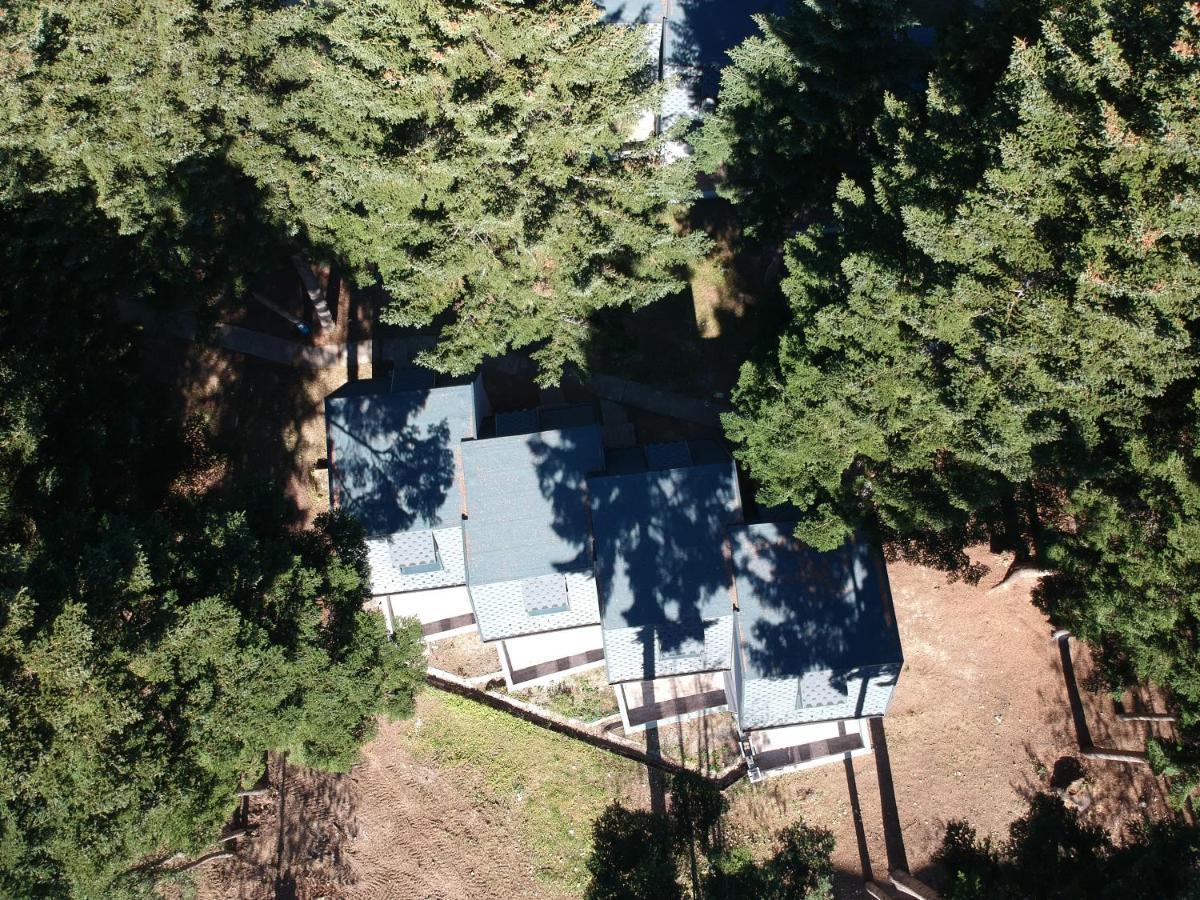 Moura & Villas Borovets Mountain Relax Spa Hotel ภายนอก รูปภาพ