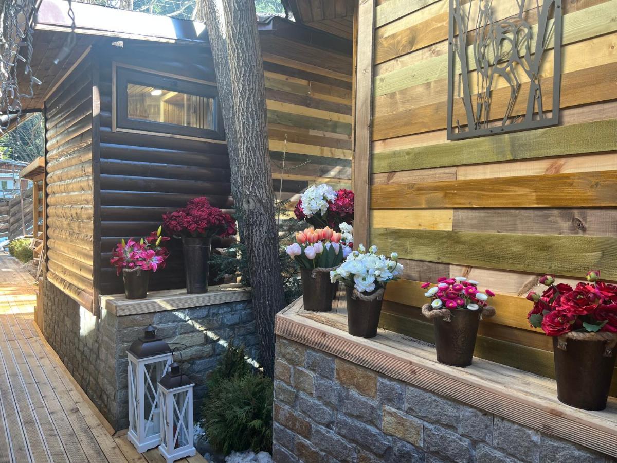 Moura & Villas Borovets Mountain Relax Spa Hotel ภายนอก รูปภาพ